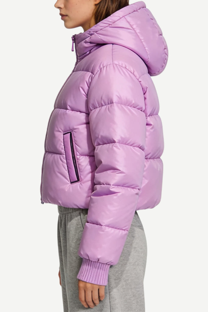 Women's Hooded Shiny Fashion Casual Thick Jacket