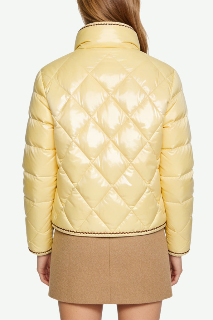 Women's Stand Collar Fashion Elegant Winter Thick Jacket