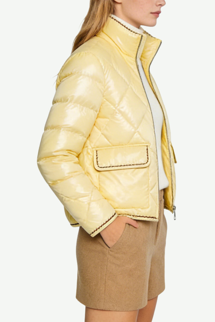 Women's Stand Collar Fashion Elegant Winter Thick Jacket