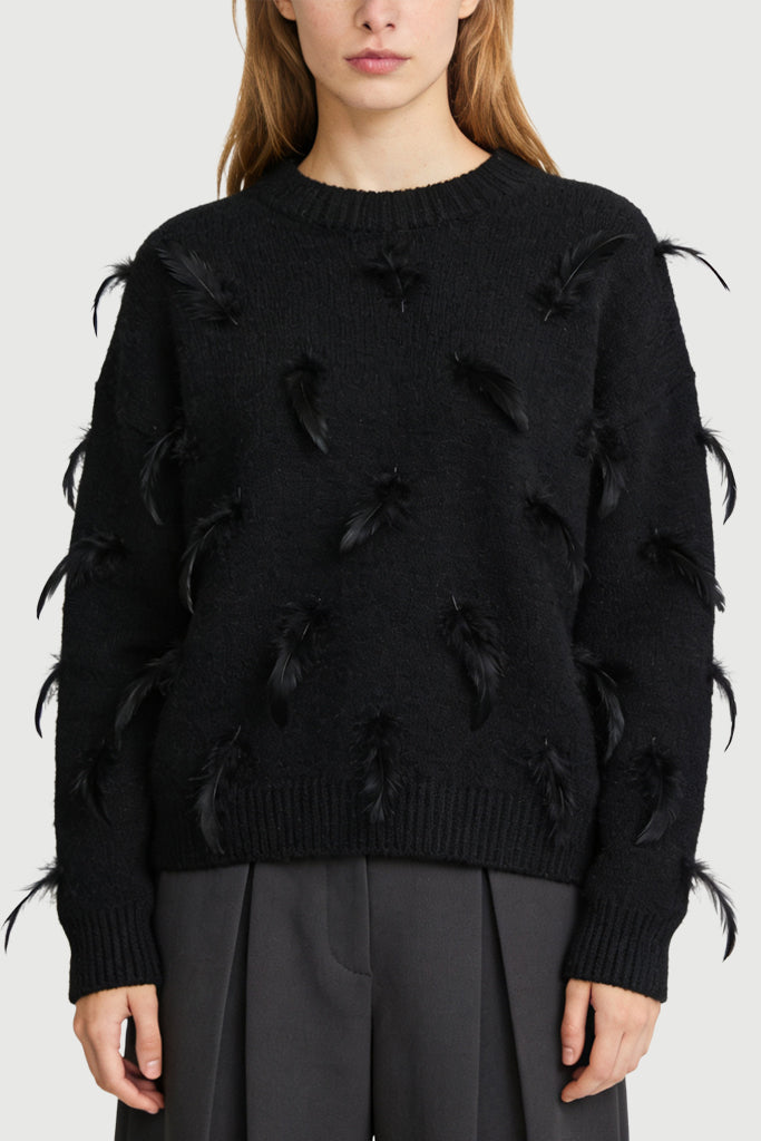 Women's Crew Neck Feather Decor Trendy Unique Loose Sweater