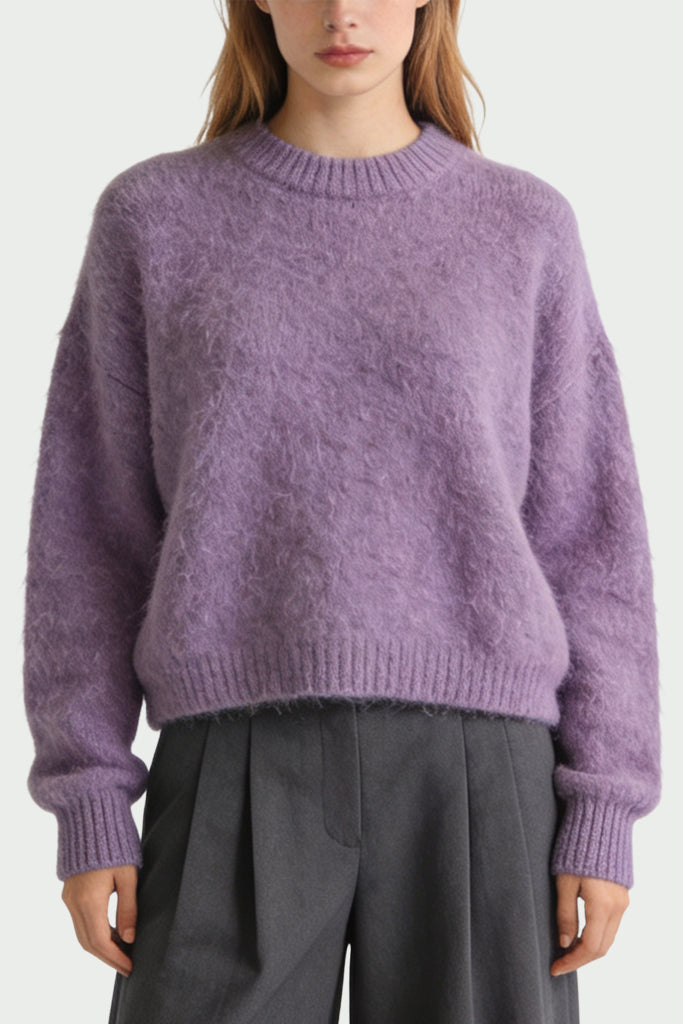 Women's Crew Neck Plush Texture Loose Comfortable Sweater