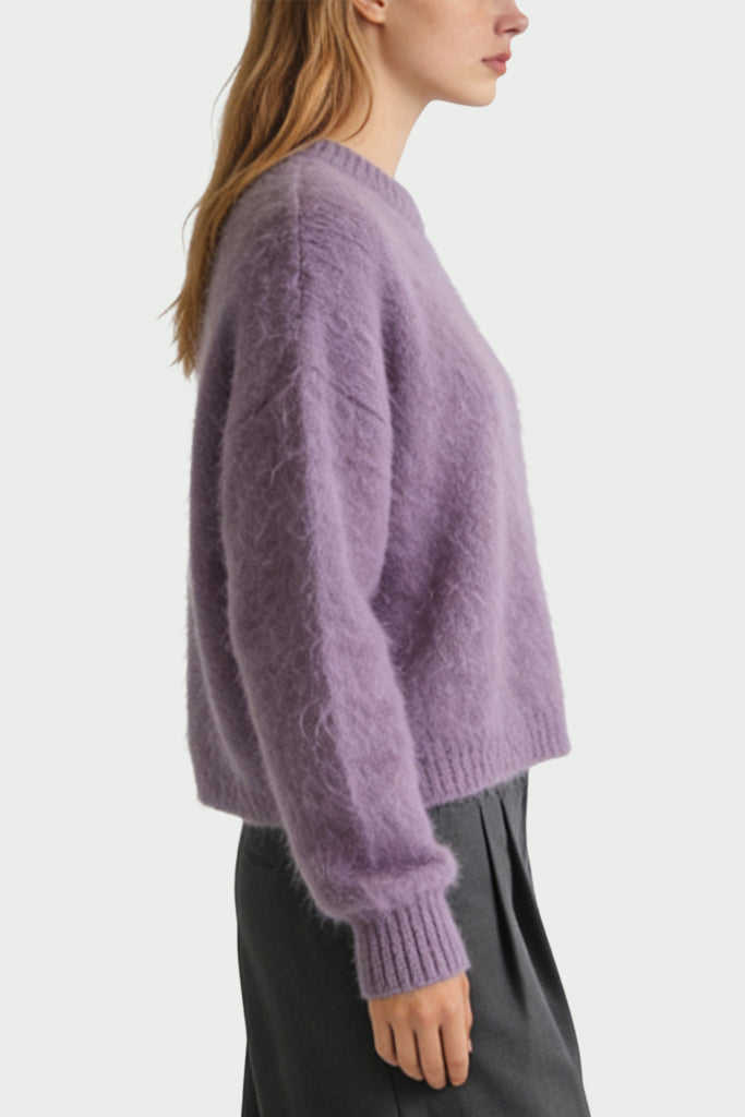 Women's Crew Neck Plush Texture Loose Comfortable Sweater